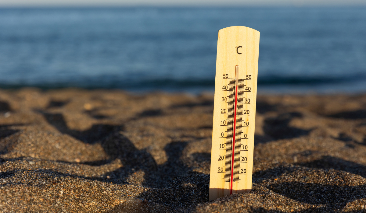 ¿Cómo cuidarse durante una ola de calor?